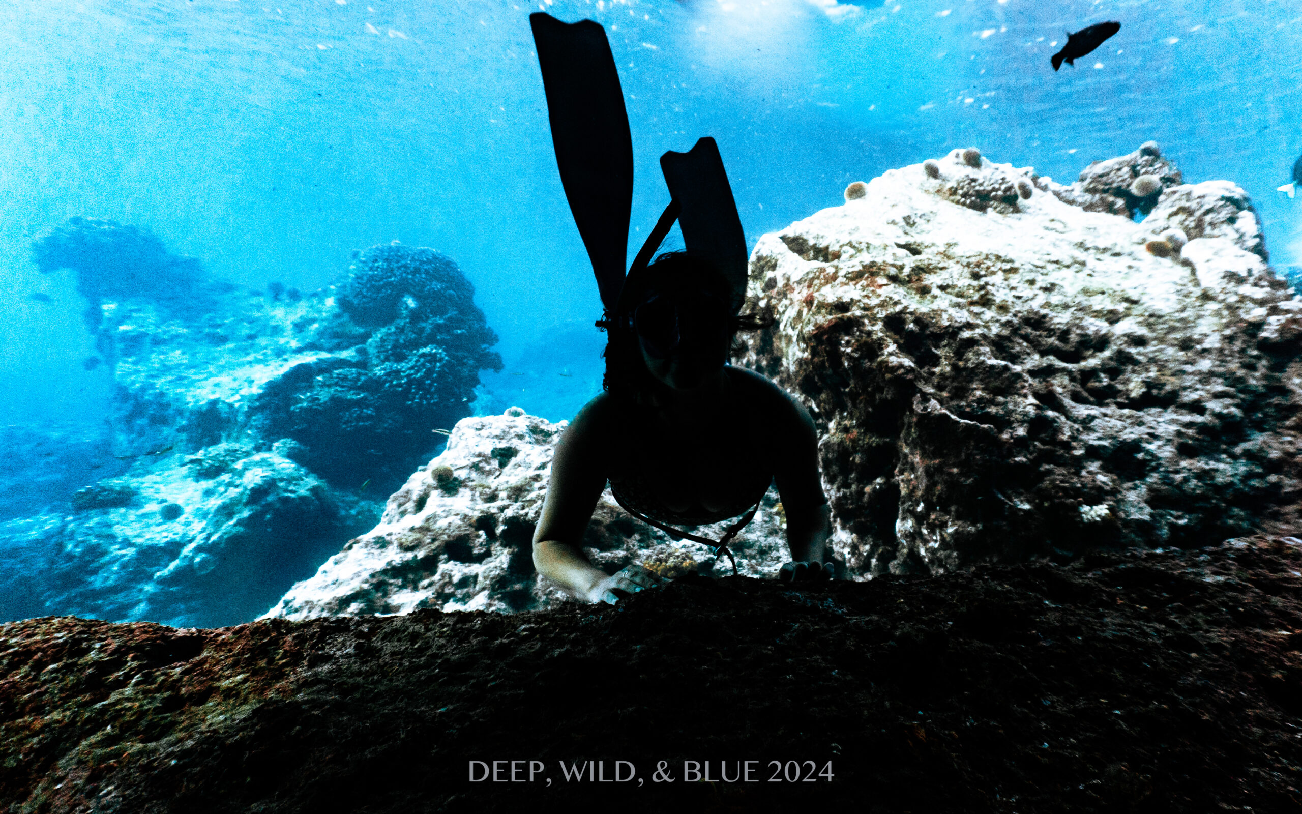 flow state - diving in Baja
